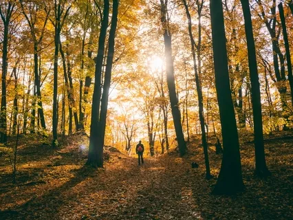 Awaken Healing Light & Love Within