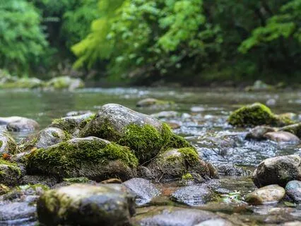 Meditation to Awaken your Senses (ASMR with Rain and Nature)