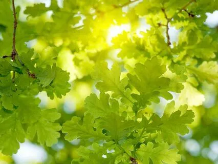 Meditation To Be Carried By Source Abundance Energy