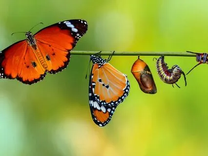 Meditation To Be Guided Through Times Of Transitioning