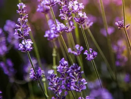 Meditation To Be Held In Unconditional Love