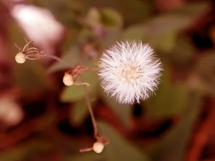 Meditation to Befriend Difficult Emotions