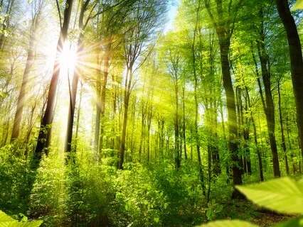 Meditation To Begin Your Day