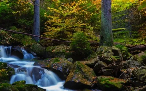 Meditation To Bring Peace