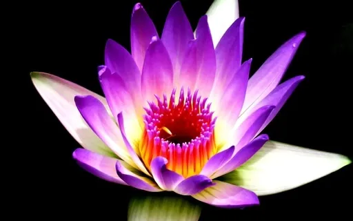 Meditation To Bring To The Space