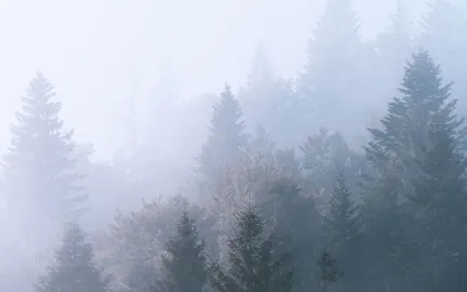 Meditation To Calm Down