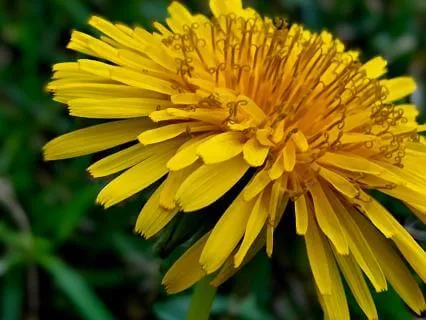 Meditation To Calm The Nervous System