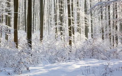 Meditation To Clear Your Mind & Find Positivity & Peace