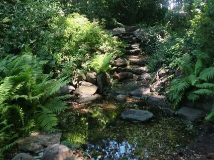 Meditation To Clear Your Mind