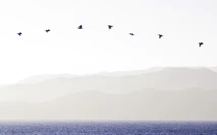 Meditation To Connect To Your Higher Self