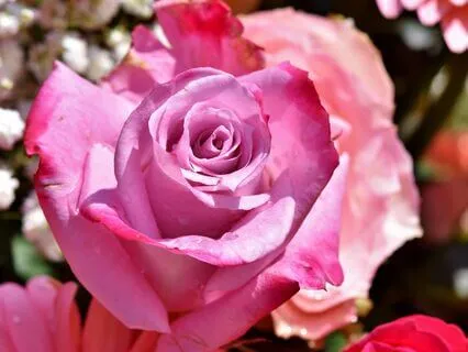 Meditation To Connect With The Divine Mother