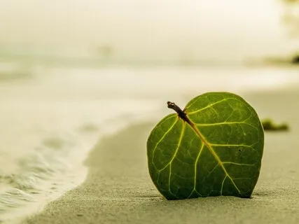 Meditation To Create Personal Resiliency For Your Amygdala