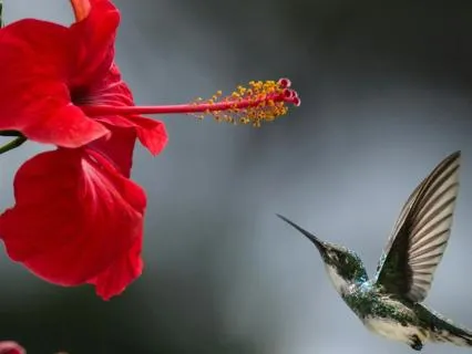 Meditation To Cultivate Embodied Gratitude