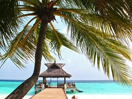 Practice To Cultivate Energy 