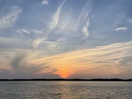 Meditation To Cultivate Gratitude & Focus