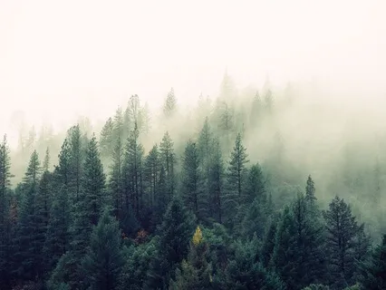 Meditation To Cultivate Inner Peace