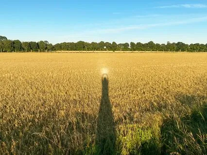 Self-Worth Meditation