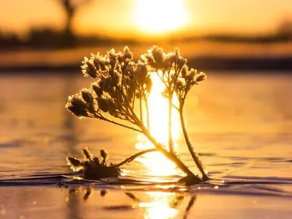 Meditation To Discover Your Soul's Purpose