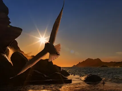 Meditation To Drop Your Worries & Regrets