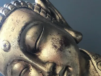 Meditation To Earth And Ground Your Energy And Heal