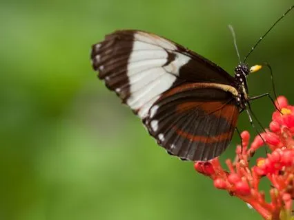 Meditation To Ease Anxiety