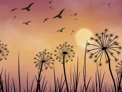 Meditation to End the Work Day