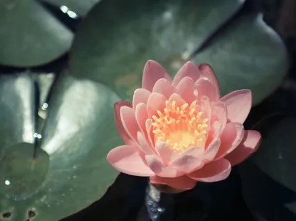 Meditation To Enhance Your Intuition