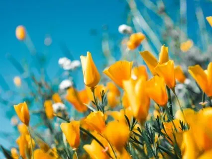 Meditation To Expand Space (Calming Anxiety)