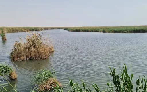 Meditation To Find Clarity