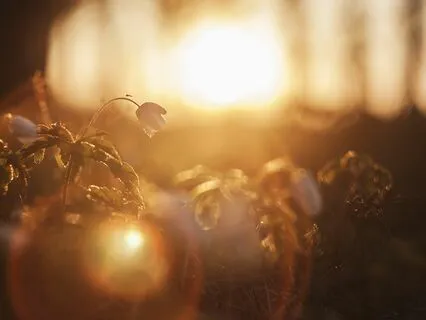 Meditation To Find Safety Within