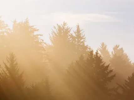 Meditation to Flow Away