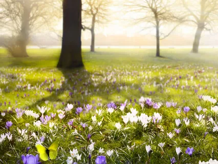 Solar Plexus Synchronization - A Practice To Foster Personal Power And Control 