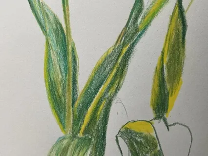 Meditation To Get Centered 