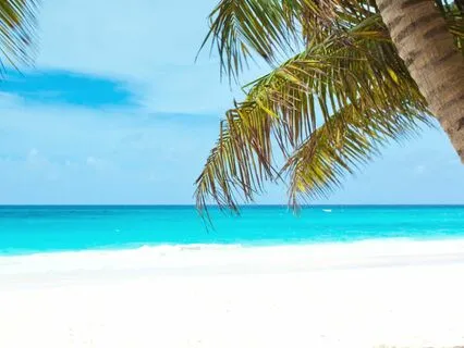 Meditation To Ground And Connect