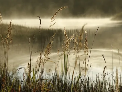 Meditation To Heal After A Breakup  (For Women)