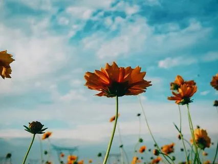 Meditation To Heal After Surgery