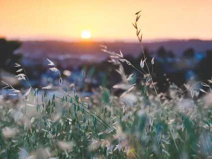 Practice For Healing Physical & Emotional Pain