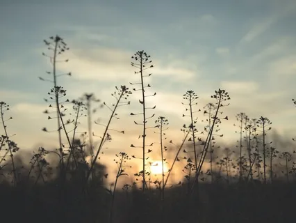 Meditation To Help Calm Down At Work