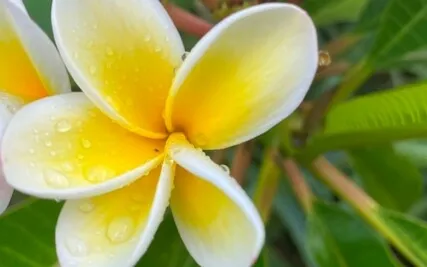 Meditation To Live Your Best Life