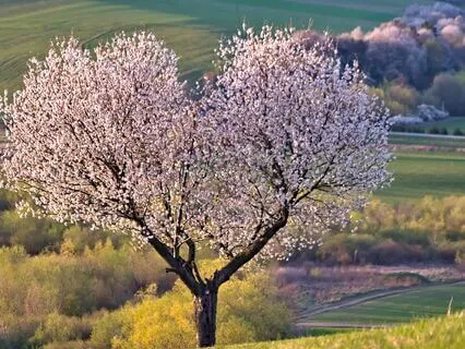 Meditation To Love Yourself