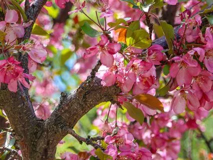 Meet With A Loved One In Spirit