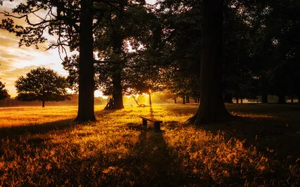 Meditation To Meet Your Spirit Guides