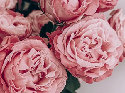 Meditation To Meet Your Wise Compassionate Self