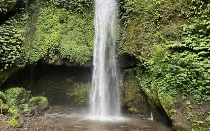 Meditation To Move Into A State Of Allowance