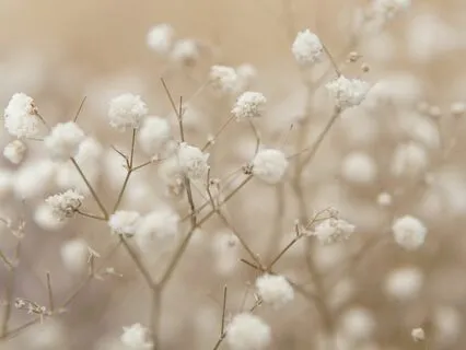 Meditation To Nurture Self-Compassion And Release Shame