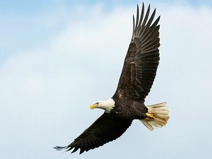 Meditation To Overcome Limiting Beliefs