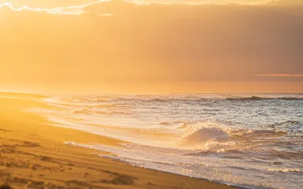 Meditation To Practice Gratitude