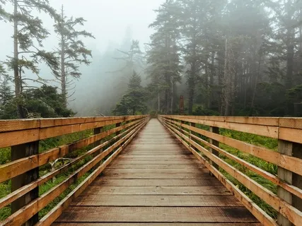 Cultivating Mindfulness: Keep Your Attention In The Present