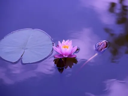 Meditation To Promote Deep Relaxation And Healing