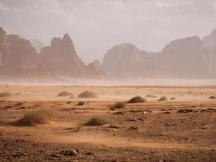 Quiet The Mind - Free The Body